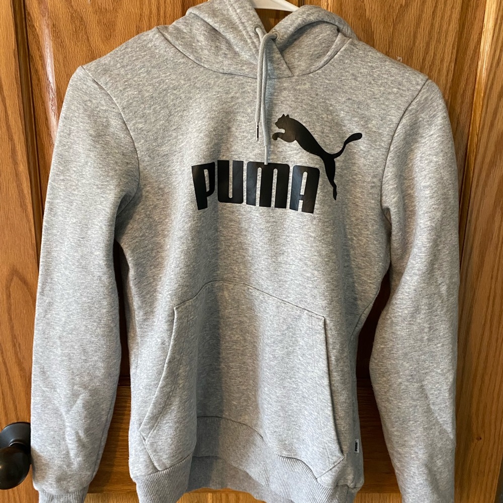 Small Puma gray hoodie (can fit a medium)